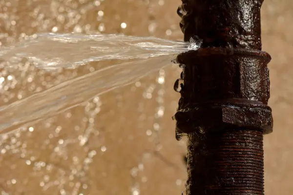 Call Wallace Plumbing for your plumbing services today